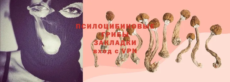 Галлюциногенные грибы Psilocybe  Алапаевск 